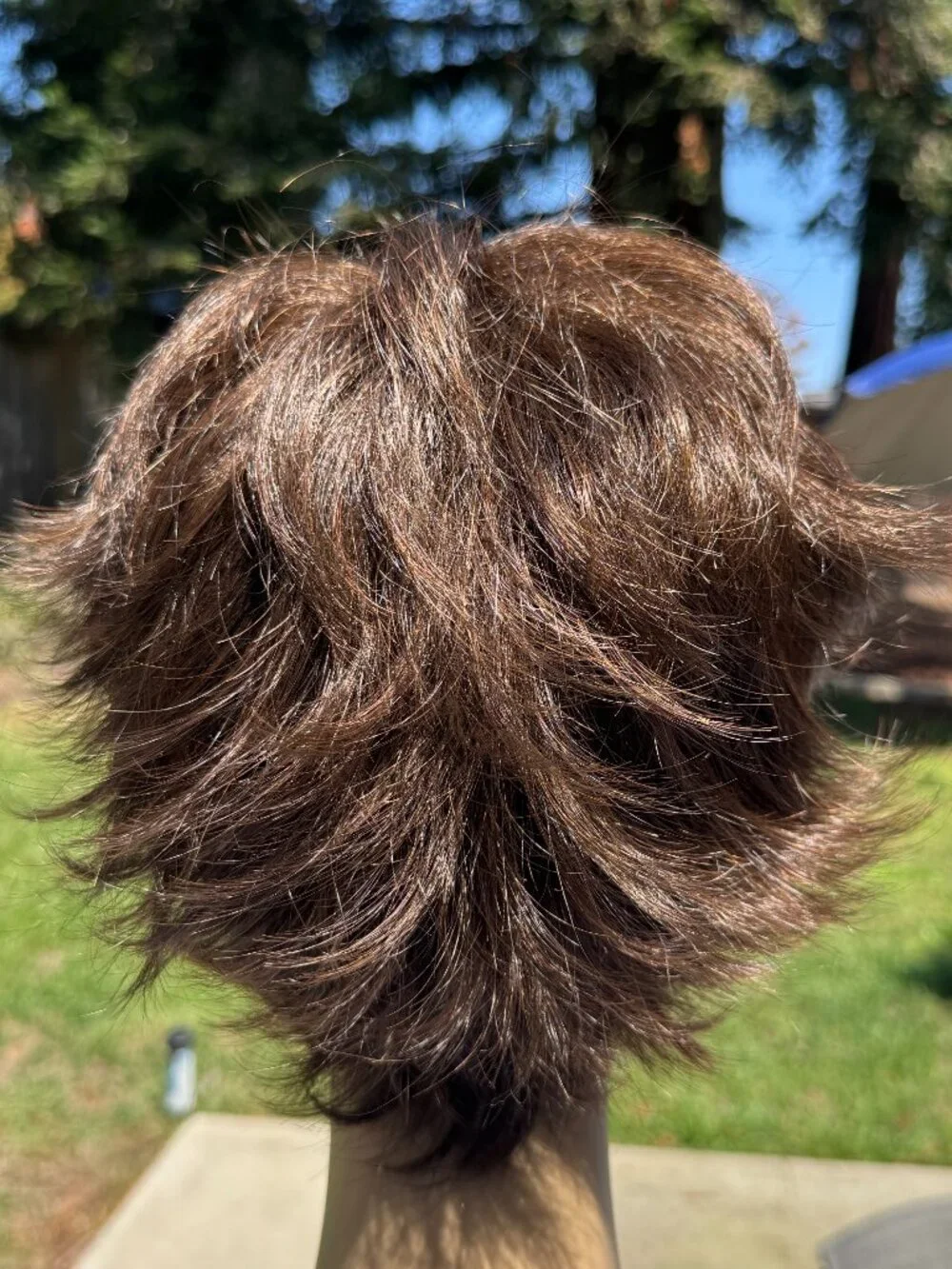 Rene of Paris Wig